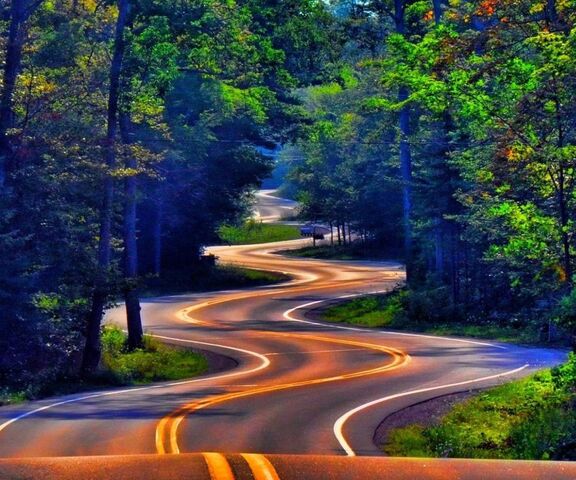 Forest Road Wallpaper - Download to your mobile from PHONEKY