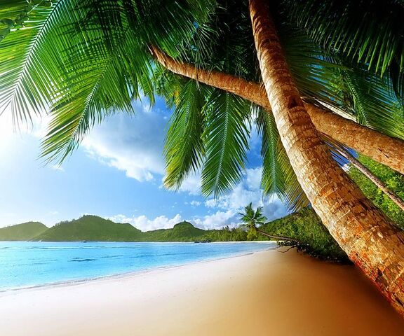 Tropical Paradise Wallpaper - Download to your mobile from PHONEKY
