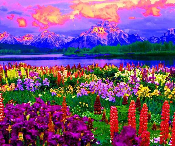 Colorful Nature Wallpaper - Download to your mobile from PHONEKY