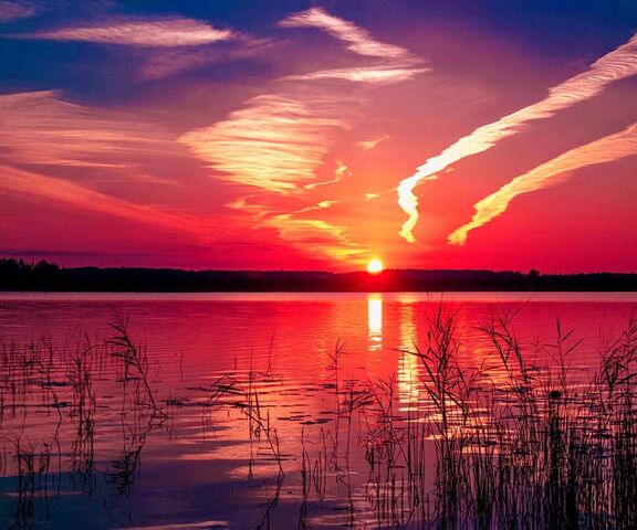Raspberry Sunset Wallpaper - Download to your mobile from PHONEKY