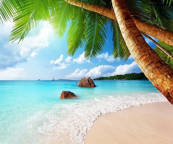 Tropical Paradise Wallpaper - Download to your mobile from PHONEKY