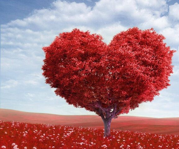 Arbre Coeur Rouge Fond D Ecran Telecharger Sur Votre Mobile Depuis Phoneky