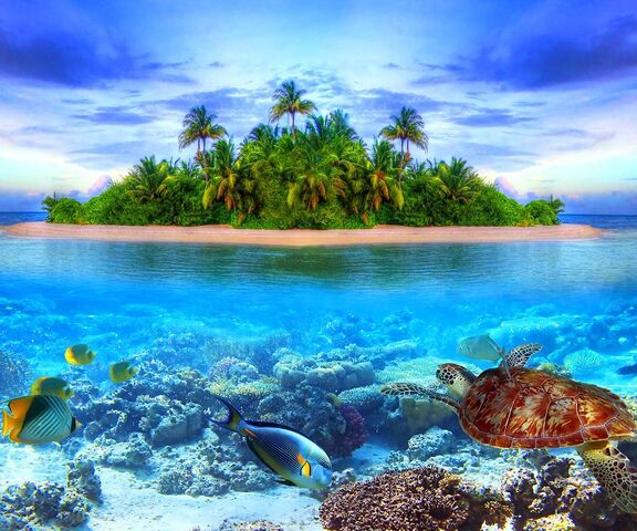 Paradis tropical