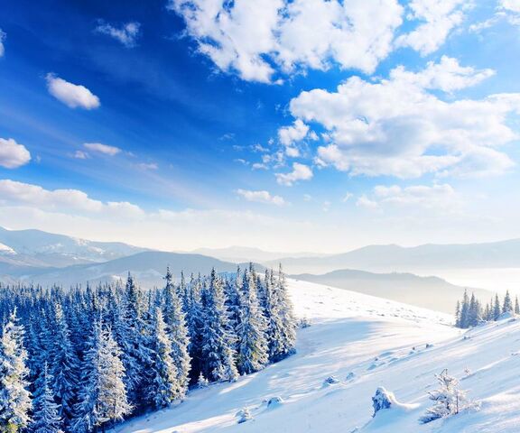 Winterland Wallpaper - Download to your mobile from PHONEKY