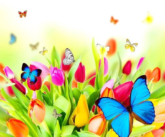 Spring Colors Wallpaper - Download to your mobile from PHONEKY