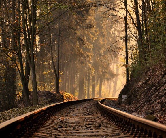Forest Train Track Wallpaper - Download to your mobile from PHONEKY