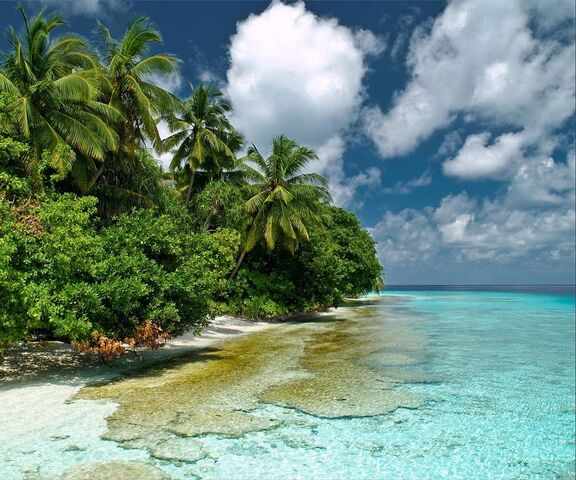 Paradise Wallpaper - Download to your mobile from PHONEKY