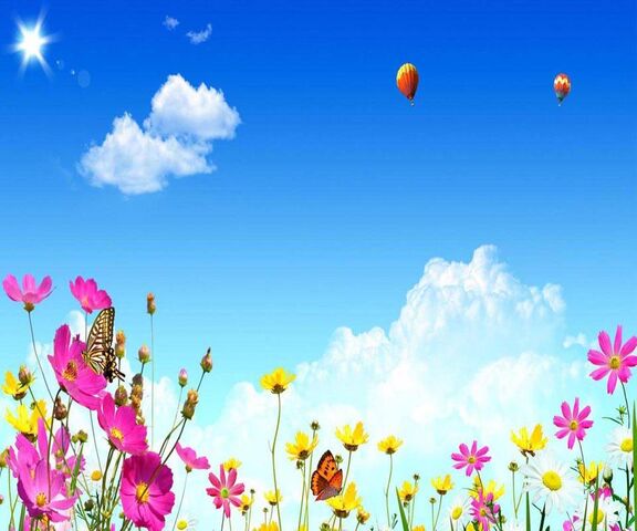 Flowery Morning Wallpaper - Download to your mobile from PHONEKY