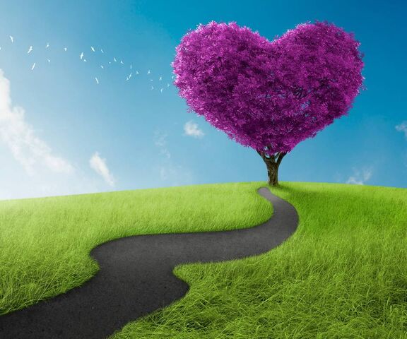 Heartfelt Pathway to Love 💖🌳 Wallpaper - Download to your mobile from ...