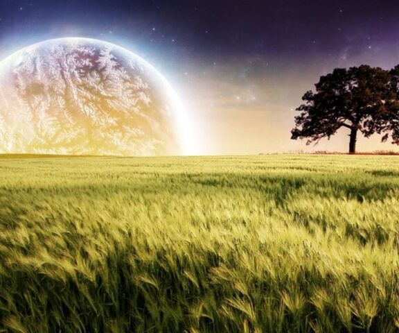 Dreamy Horizons: Một cánh đồng lúa mì dưới bầu trời vũ trụ 🌾✨