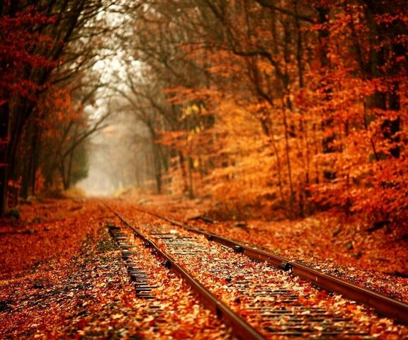Rust-Coloured Autumn Wallpaper - Download to your mobile from PHONEKY