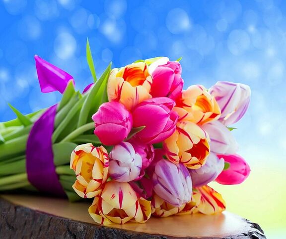 Colorful Tulips Wallpaper - Download to your mobile from PHONEKY