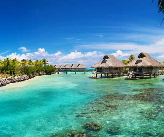 Tropical Paradise Wallpaper - Download to your mobile from PHONEKY