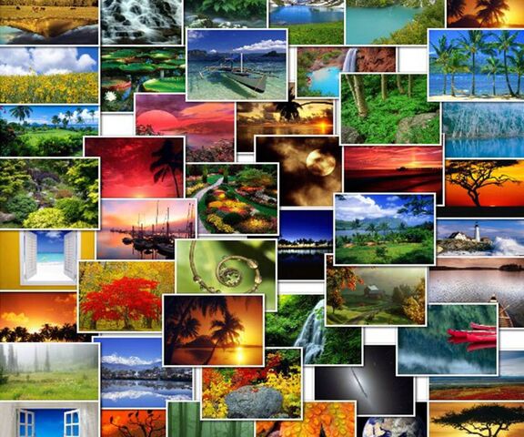 My Image 29