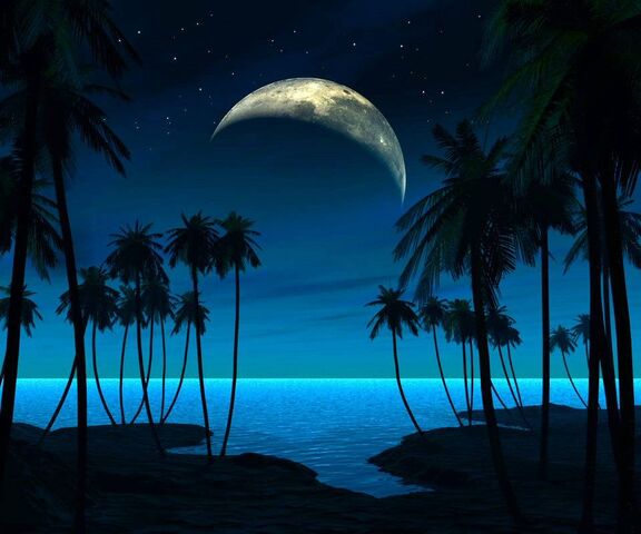 Blue Moon Beach Wallpaper - Download to your mobile from PHONEKY