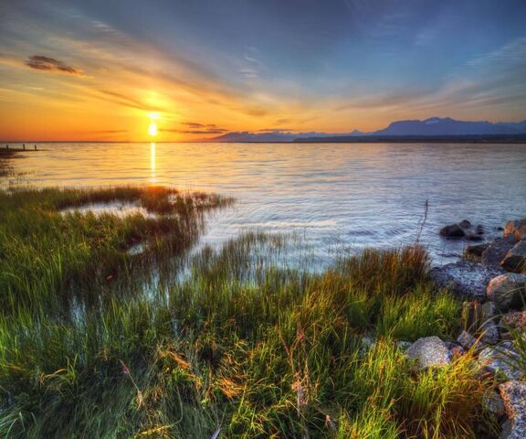 Golden Horizons: A Sunset Symphony 🌅 Wallpaper - Download to your ...