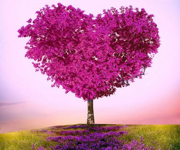 Love Tree Wallpaper - Download to your mobile from PHONEKY