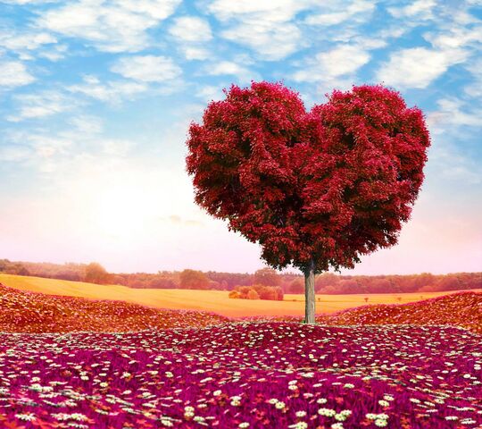 Love Tree Wallpaper - Download to your mobile from PHONEKY