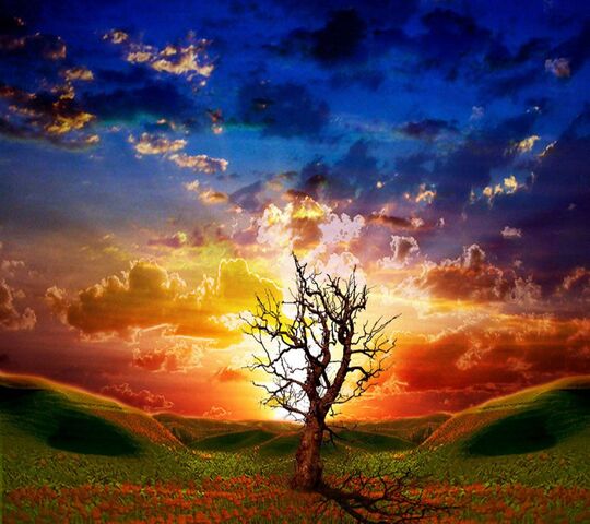 Colorful View Hd Wallpaper - Download to your mobile from PHONEKY