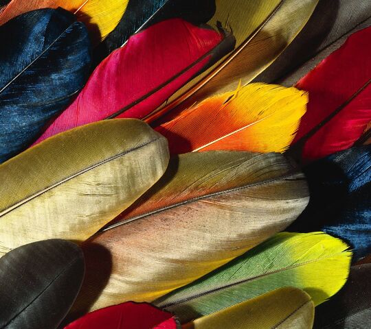 B Feather Colorful Wallpaper - Download To Your Mobile From PHONEKY