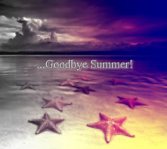 Goodbye Summer Wallpaper - Download to your mobile from PHONEKY