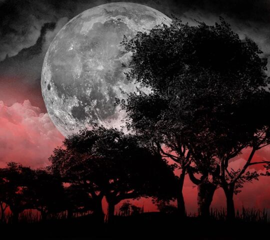 Full Moon Red Sky Wallpaper - Download to your mobile from PHONEKY