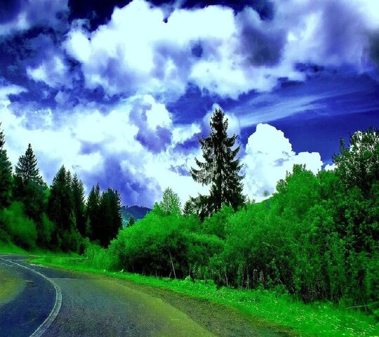 nature-wallpaper-download-to-your-mobile-from-phoneky