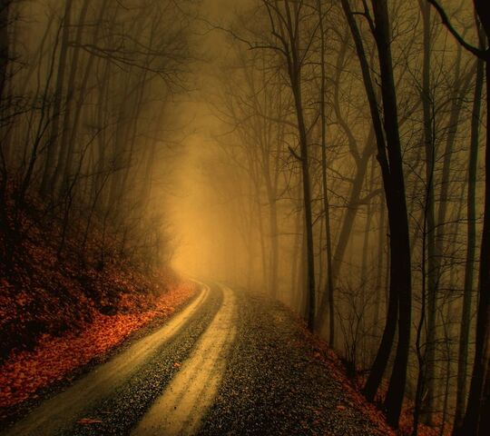 Misty Road Wallpaper - Download to your mobile from PHONEKY