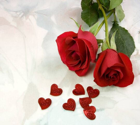 Love Rose Design Wallpaper - Download to your mobile from PHONEKY
