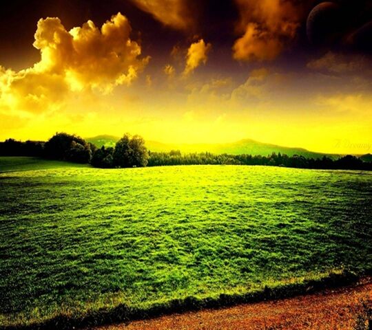 Beautiful Field Wallpaper - Download to your mobile from PHONEKY