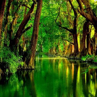 Green River Wallpaper - Download to your mobile from PHONEKY