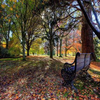 Autumn Park Bench Wallpaper - Download to your mobile from PHONEKY