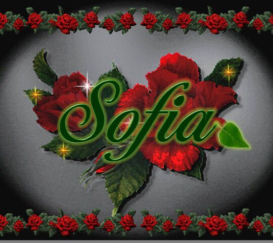 Sofia Name Wallpaper Wallpaper - Download to your mobile from PHONEKY