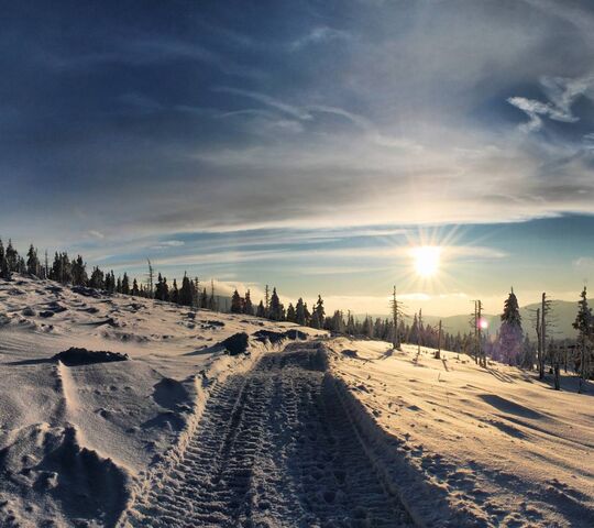 Snow Way Hd Wallpaper - Download to your mobile from PHONEKY