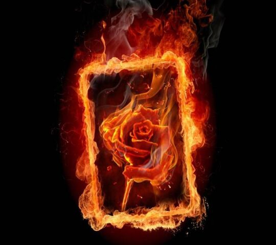 Digital Graphic Smoke Effect Background Fire Rose Super Detailed with Water  Droplets · Creative Fabrica