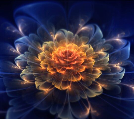 Neon Flower Wallpaper - Download to your mobile from PHONEKY