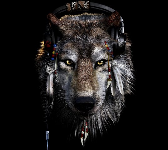 Wolf Wallpaper - Download to your mobile from PHONEKY