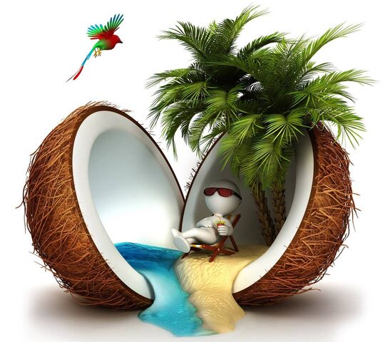 Coconut Wallpaper - Download to your mobile from PHONEKY