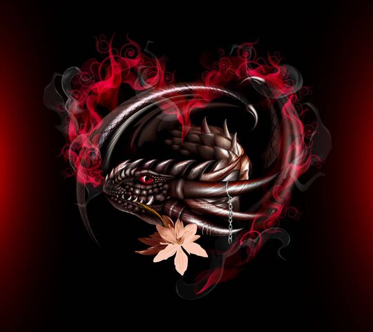 Trái tim rồng đen tối là một biểu tượng tinh thần được đánh giá cao trong thế giới rồng. Để hiểu hơn về ý nghĩa của trái tim rồng, hãy đón xem hình ảnh liên quan đến từ khóa này.