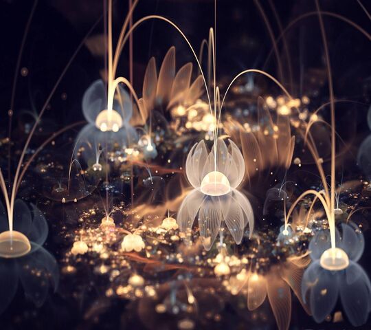 Flower Light Wallpaper - Download to your mobile from PHONEKY