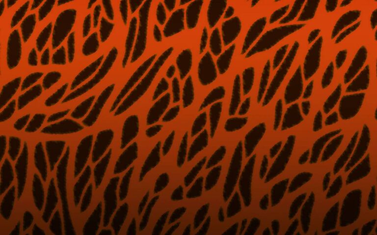 Orange Leopard Wallpaper - Download to your mobile from PHONEKY