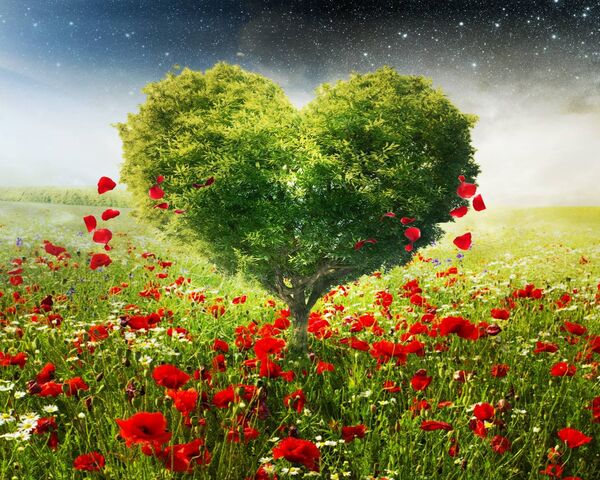 Love Tree Wallpaper - Download to your mobile from PHONEKY