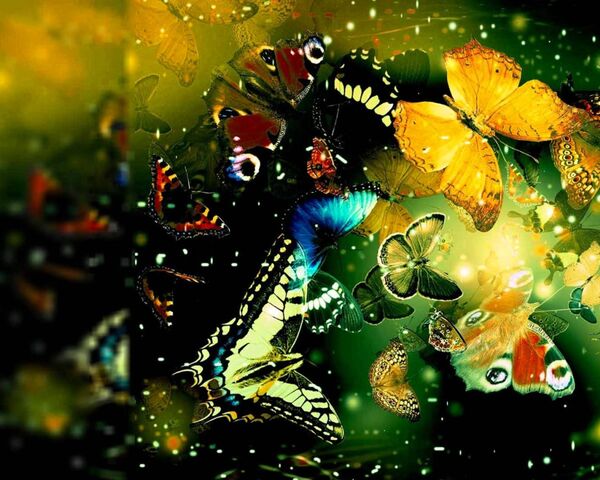 Wings of Color: The Enchanted Butterfly 🦋 Wallpaper - Download to your ...