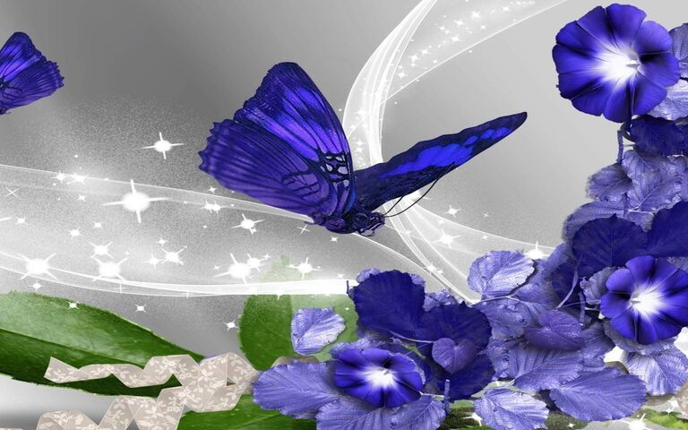 Blue Butterfly Wallpaper - Download to your mobile from PHONEKY