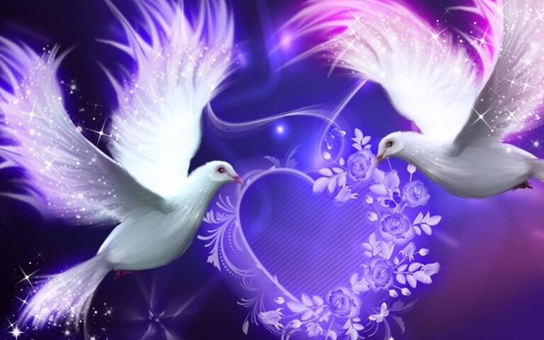 Doves Wallpaper - Download to your mobile from PHONEKY