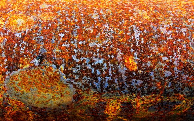 Orange Rust Wallpaper - Download to your mobile from PHONEKY