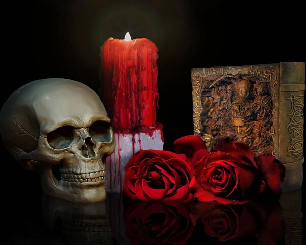 Skull With Roses Wallpaper  myphonewalls