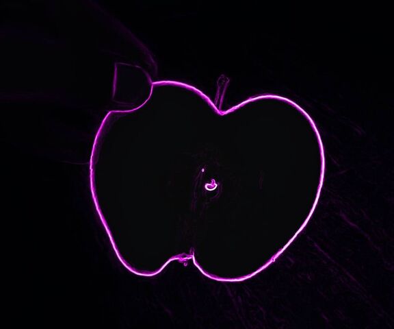 Apple Real Wallpaper - Download to your mobile from PHONEKY