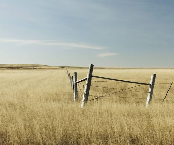 Fence Wallpaper - Download to your mobile from PHONEKY