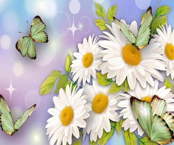 Butterflies Daisies Wallpaper - Download to your mobile from PHONEKY